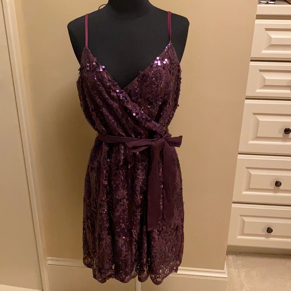 Express Purple Sequin Party Dress
